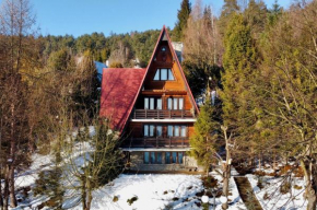 BUKOWA Jezioro Żywieckie Beskid Żywiecki Śląski Sauna Jacuzzi Kominek Morsowanie Tresna Żywiec Szczyrk